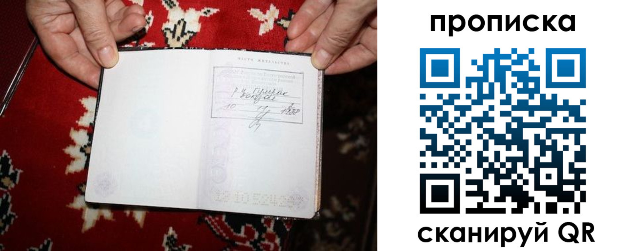 где прописаться в Кольчугино